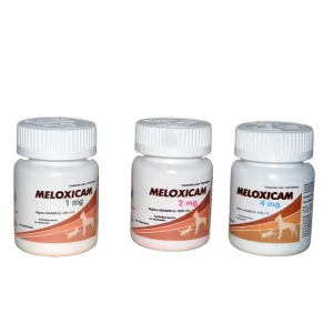 MELOXICAM 1 MG. 100 TABS.     RS  Incluye Pastilleros