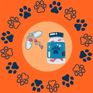 Vitaminas y Minerales