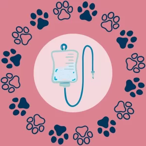 Material de Curación Exclusivo Uso Veterinario